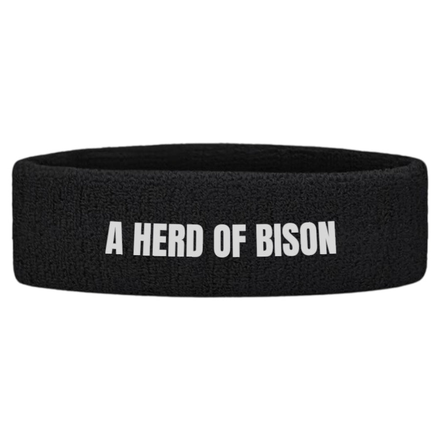 AHB Headband