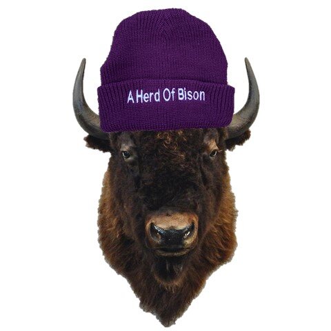 BISON Lumberjack Beanies