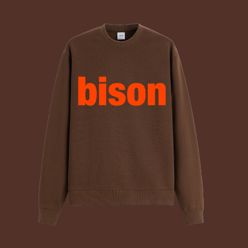 Lower Case bison Crewneck