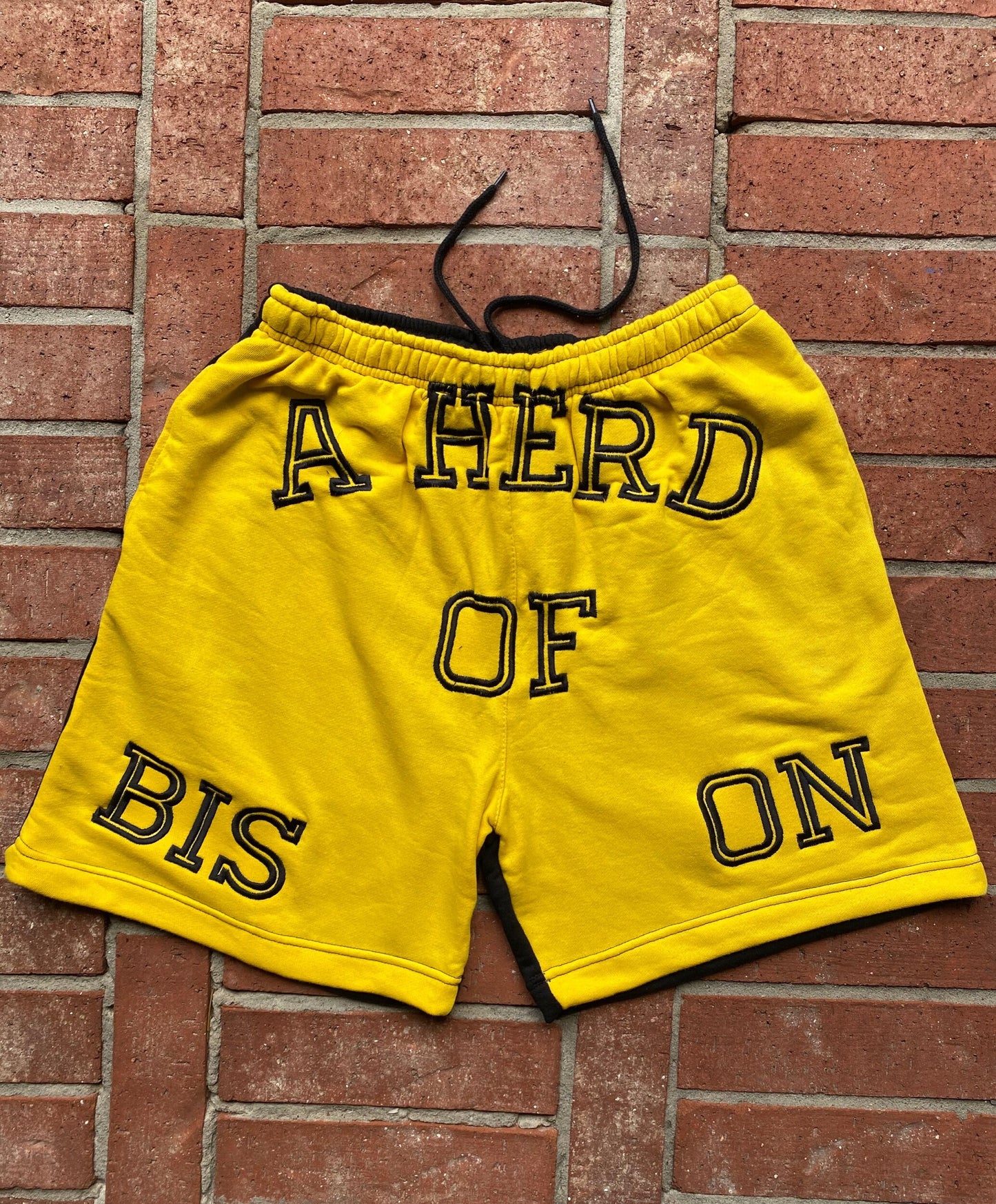 BISON Two Tone Trunks