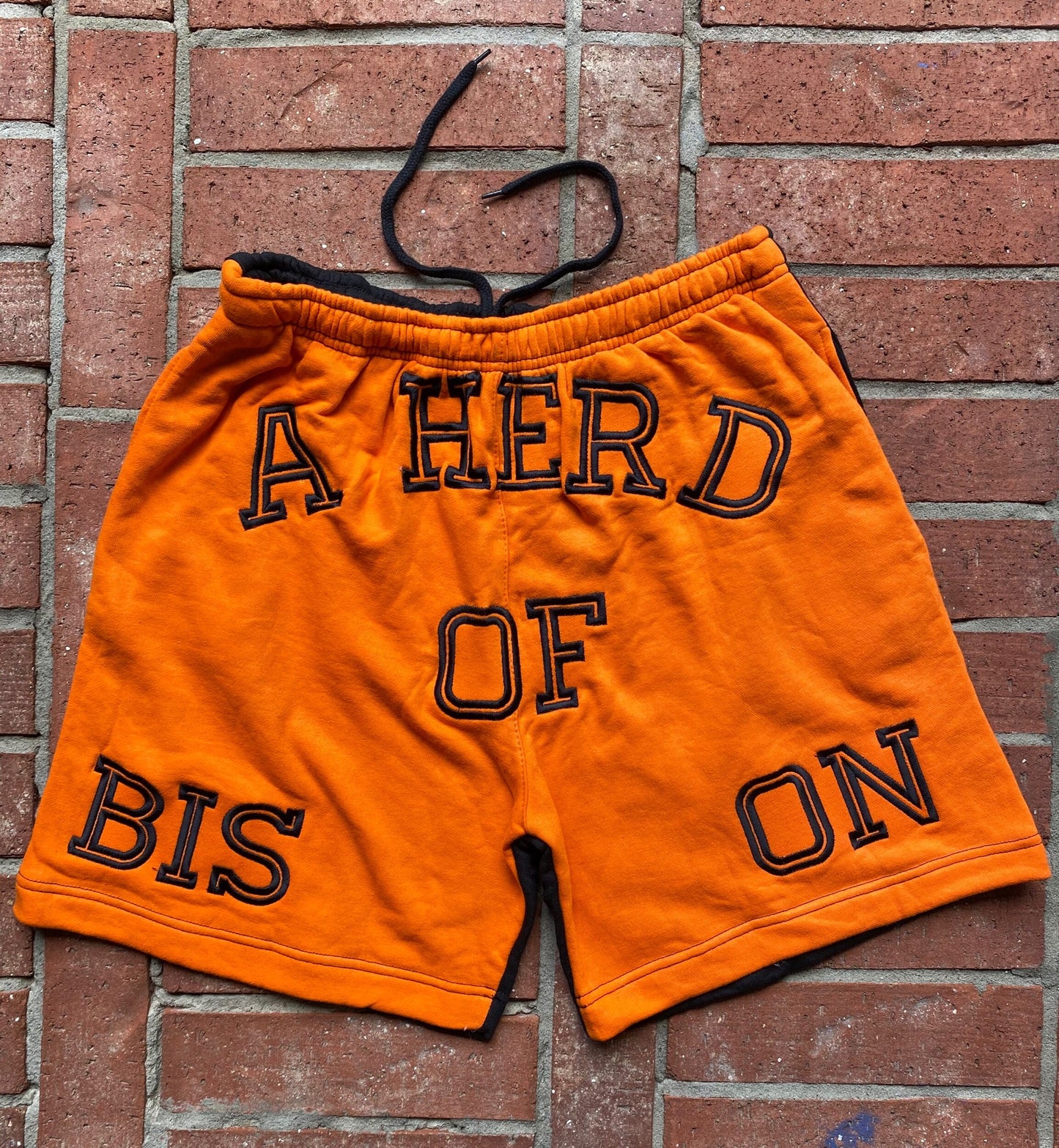 BISON Two Tone Trunks