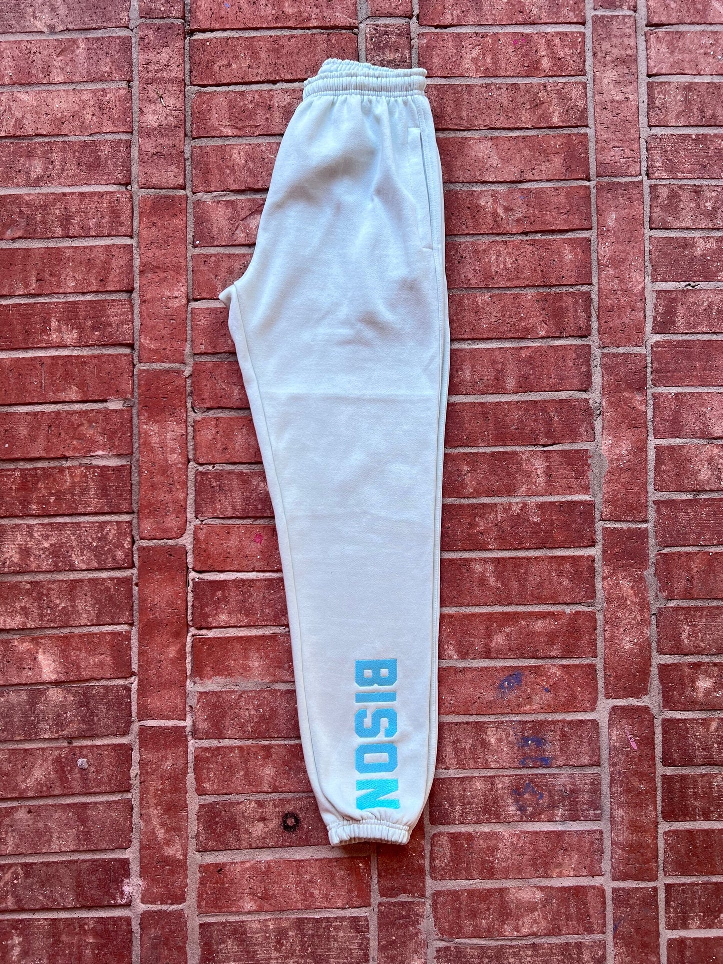 BISON Engineered Mint Sweatpants