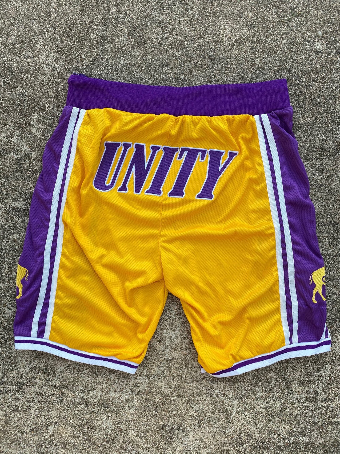 BISON Unity Trunks