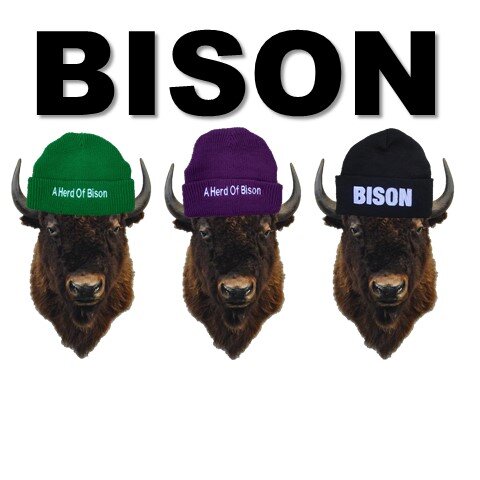 BISON Lumberjack Beanies