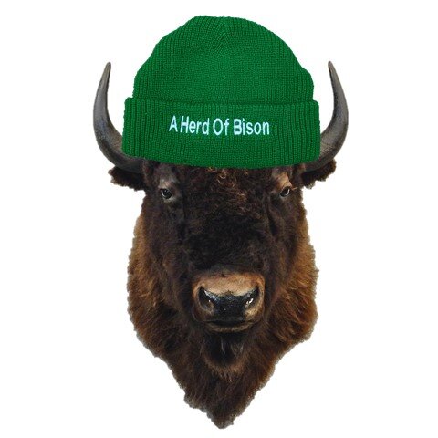 BISON Lumberjack Beanies