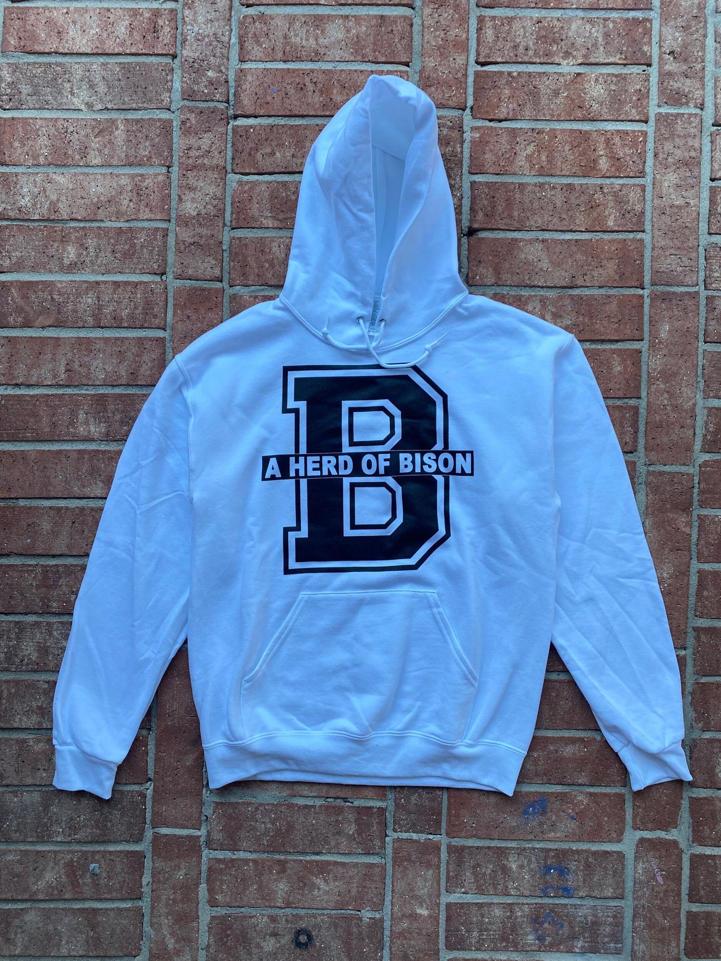 BLACK History Beyond February Hoodie