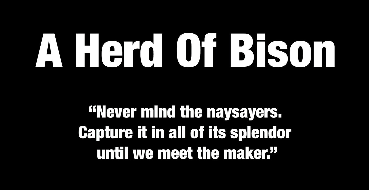 BISON Never Mind The Naysayers Mug