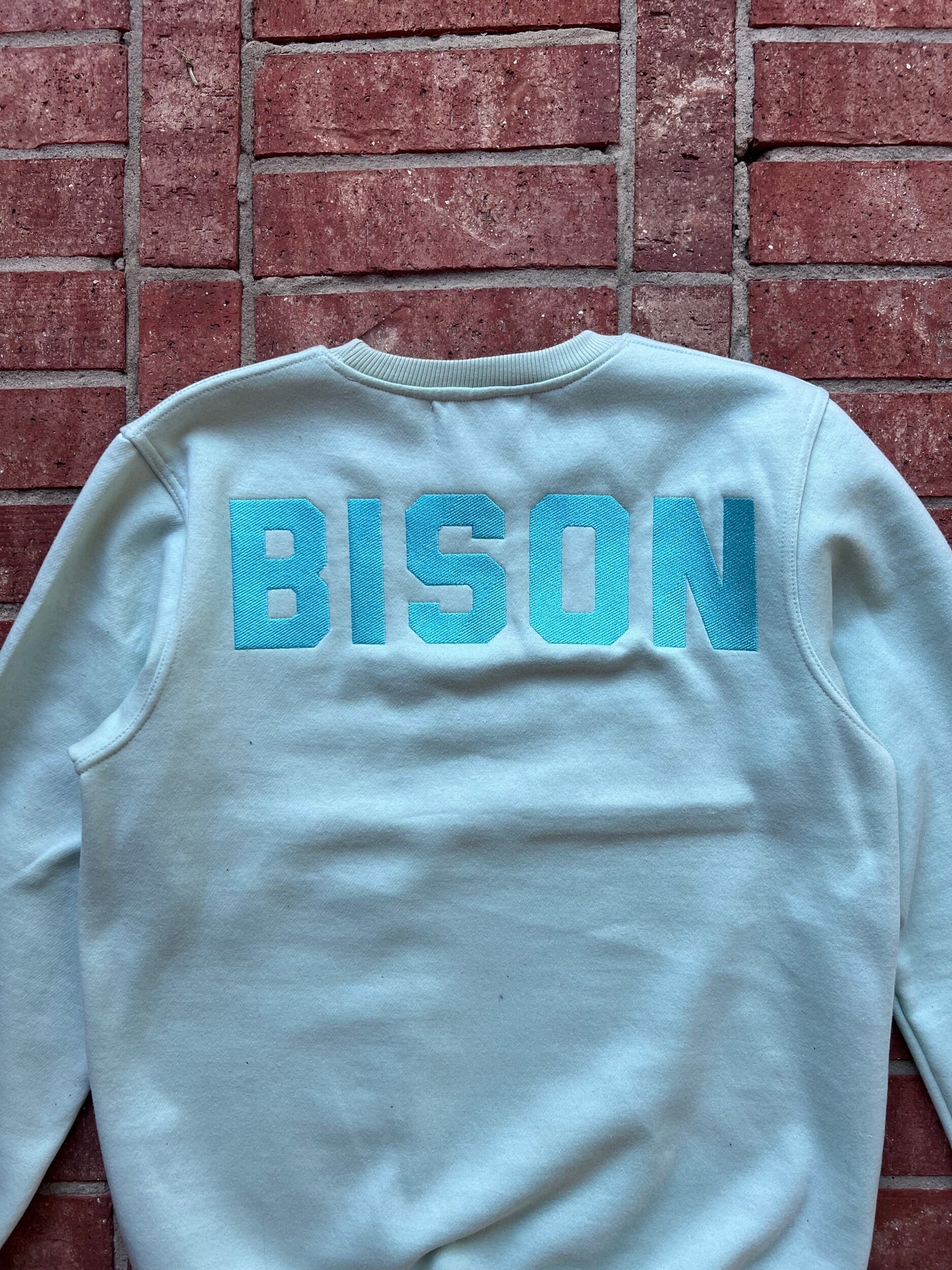 BISON Engineered Mint Sweatshirt