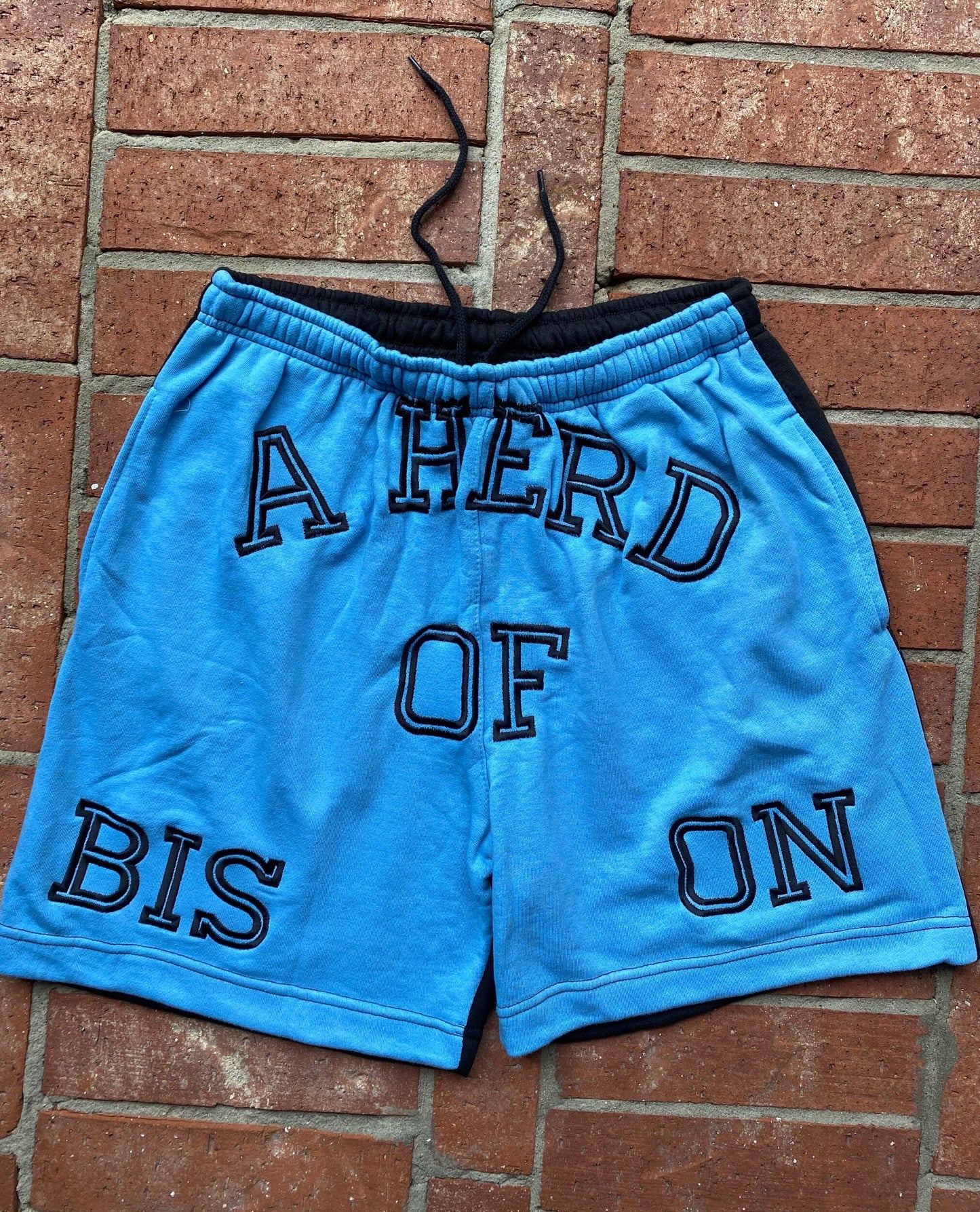 BISON Two Tone Trunks