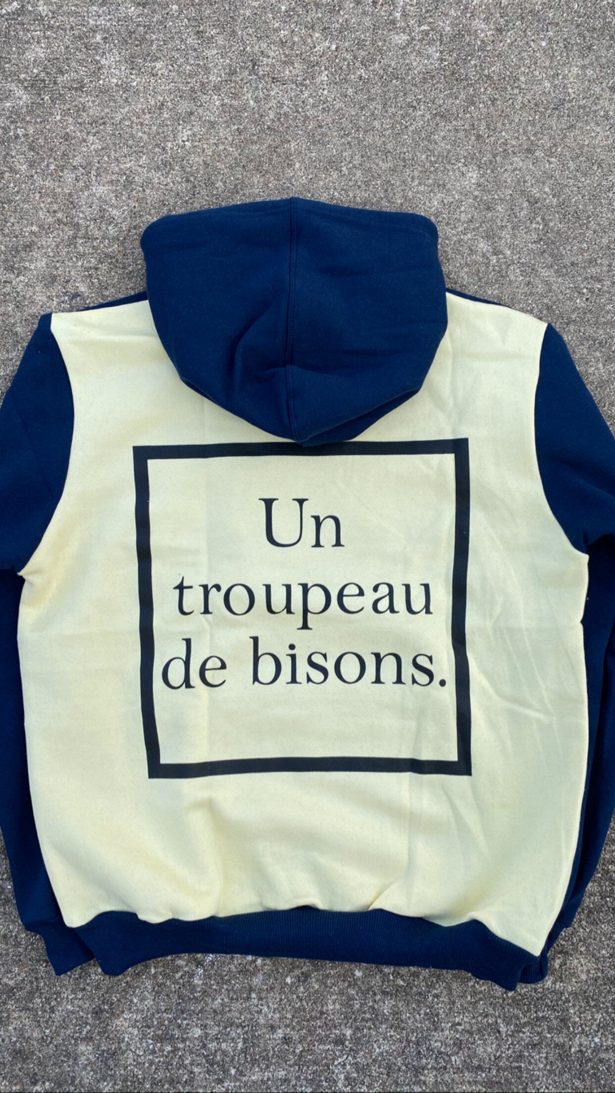 BISON 2 Year Anniversary Hoodie