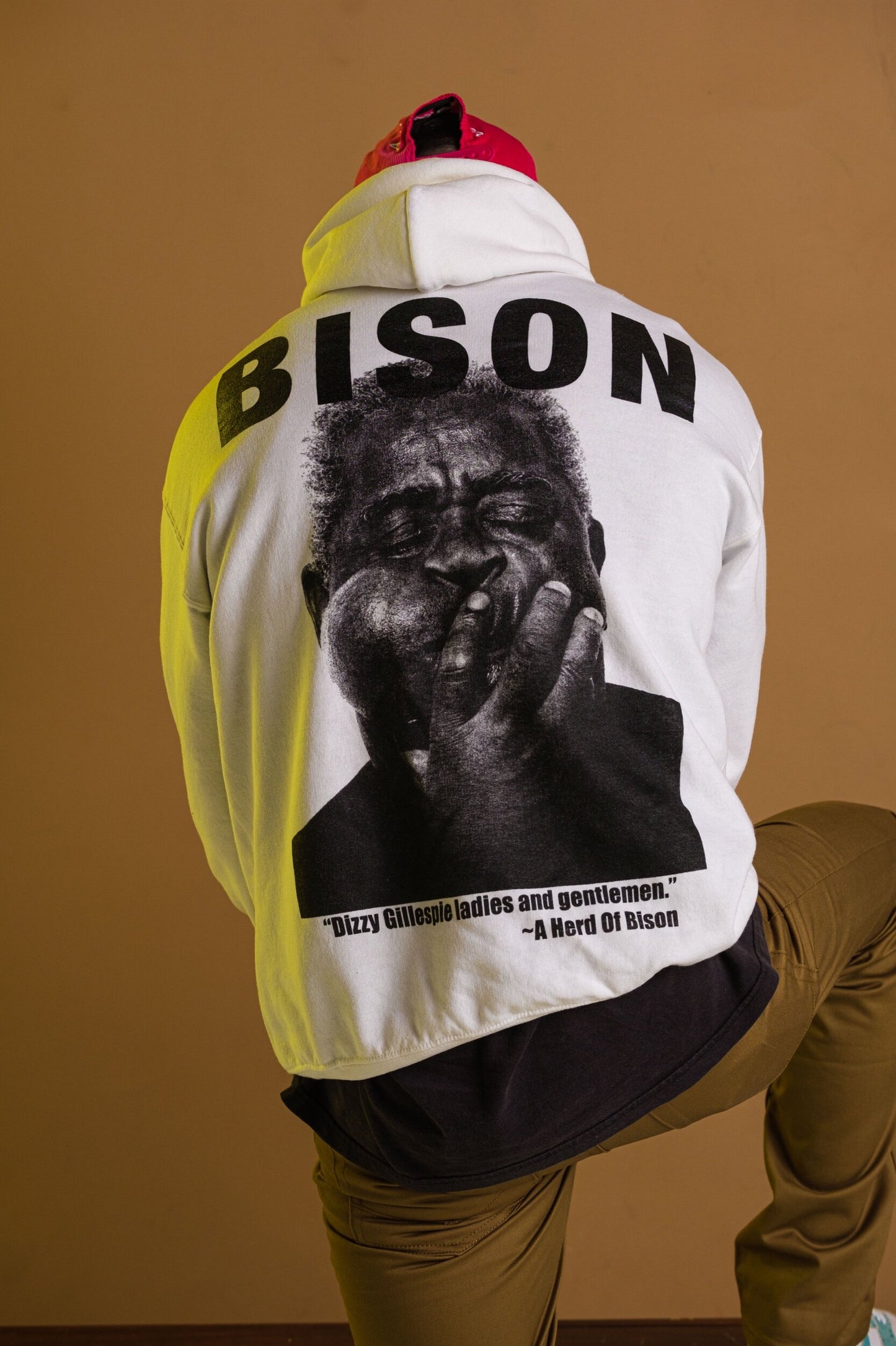 DIZZY FOR BISON Hoodie