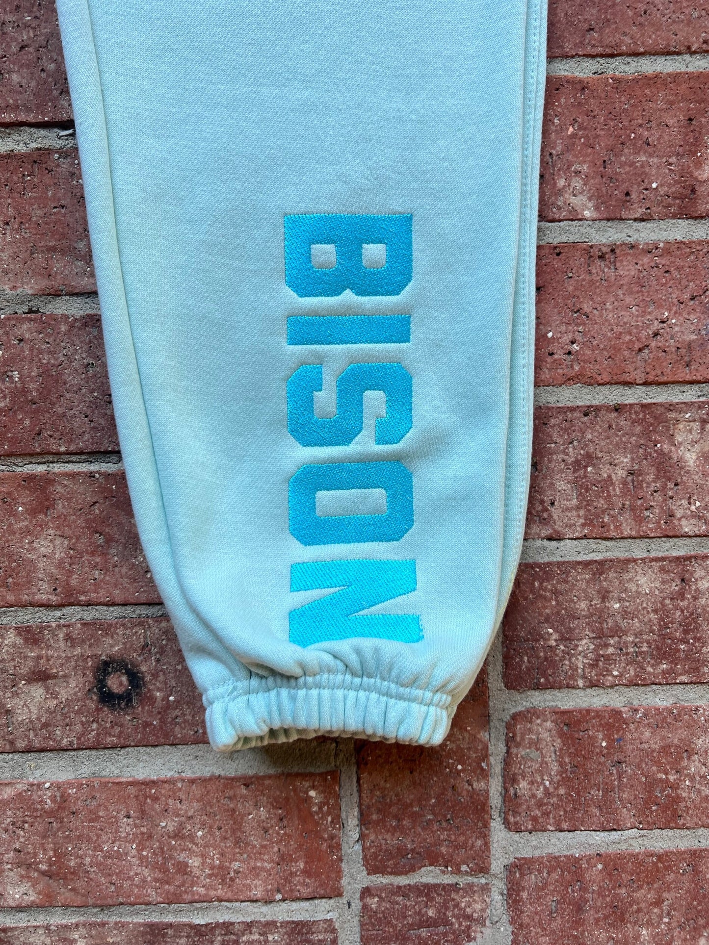 BISON Engineered Mint Sweatpants