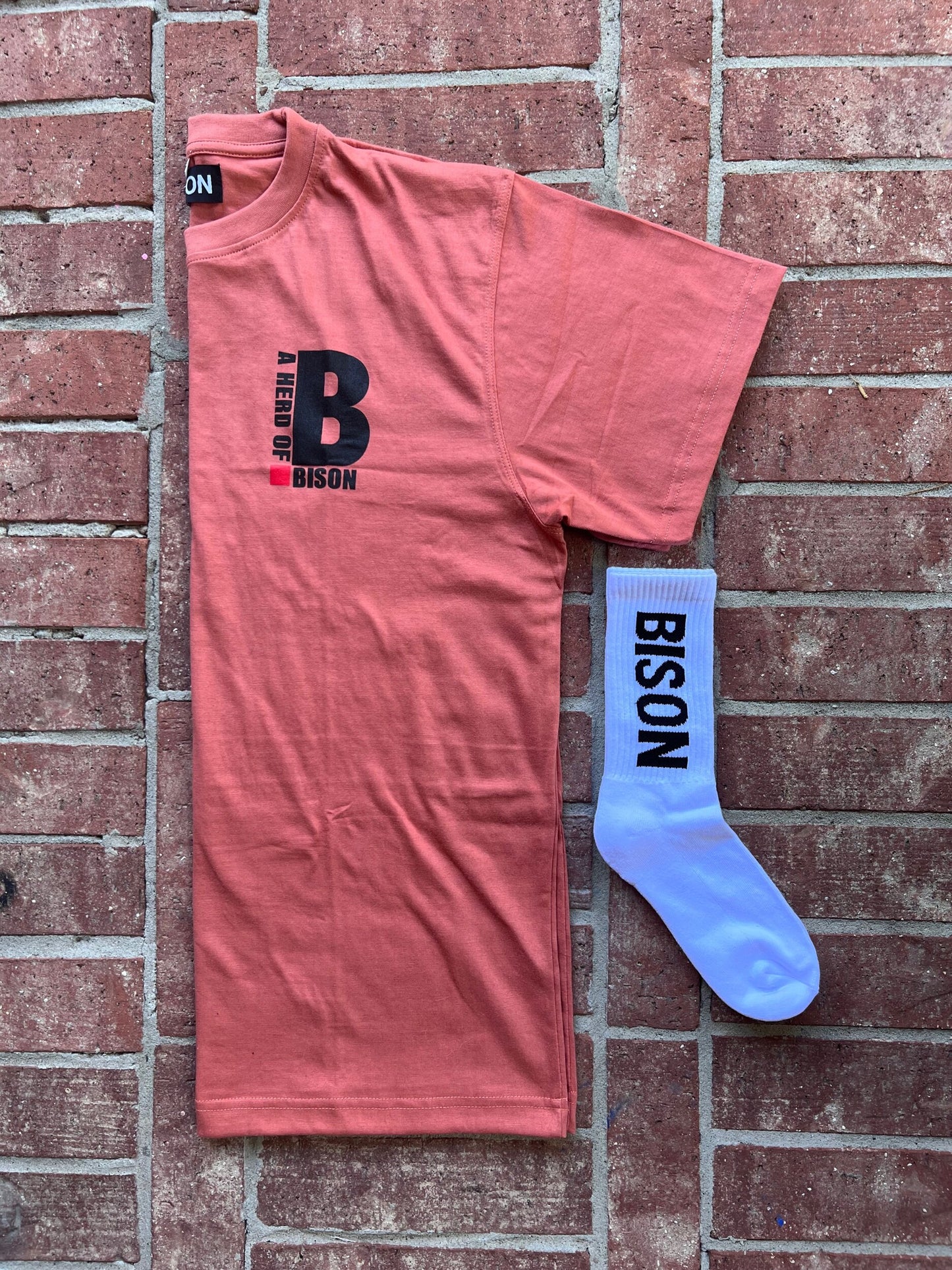 Bryce Landing Tee + Sock Pack