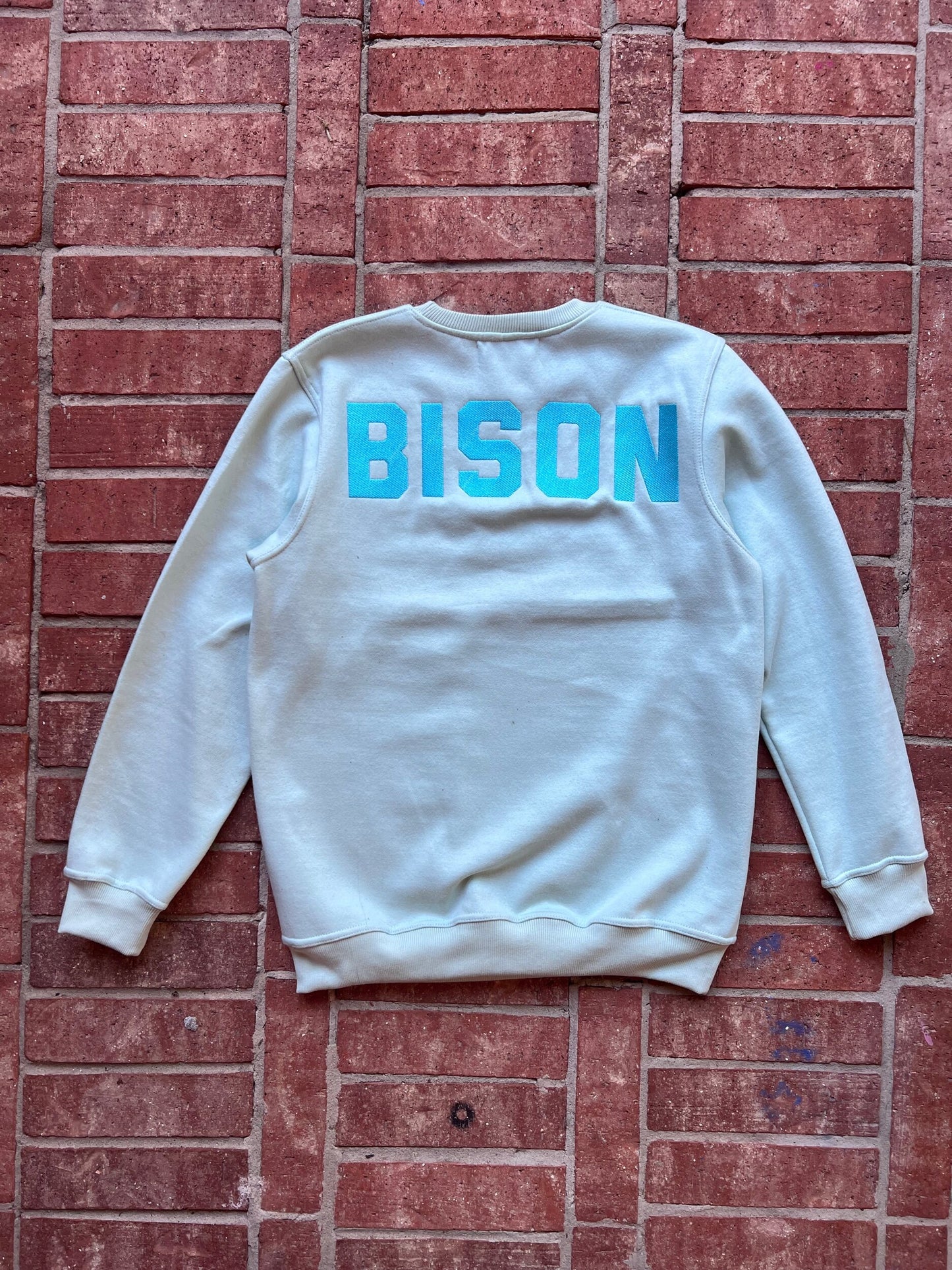 BISON Engineered Mint Sweatshirt