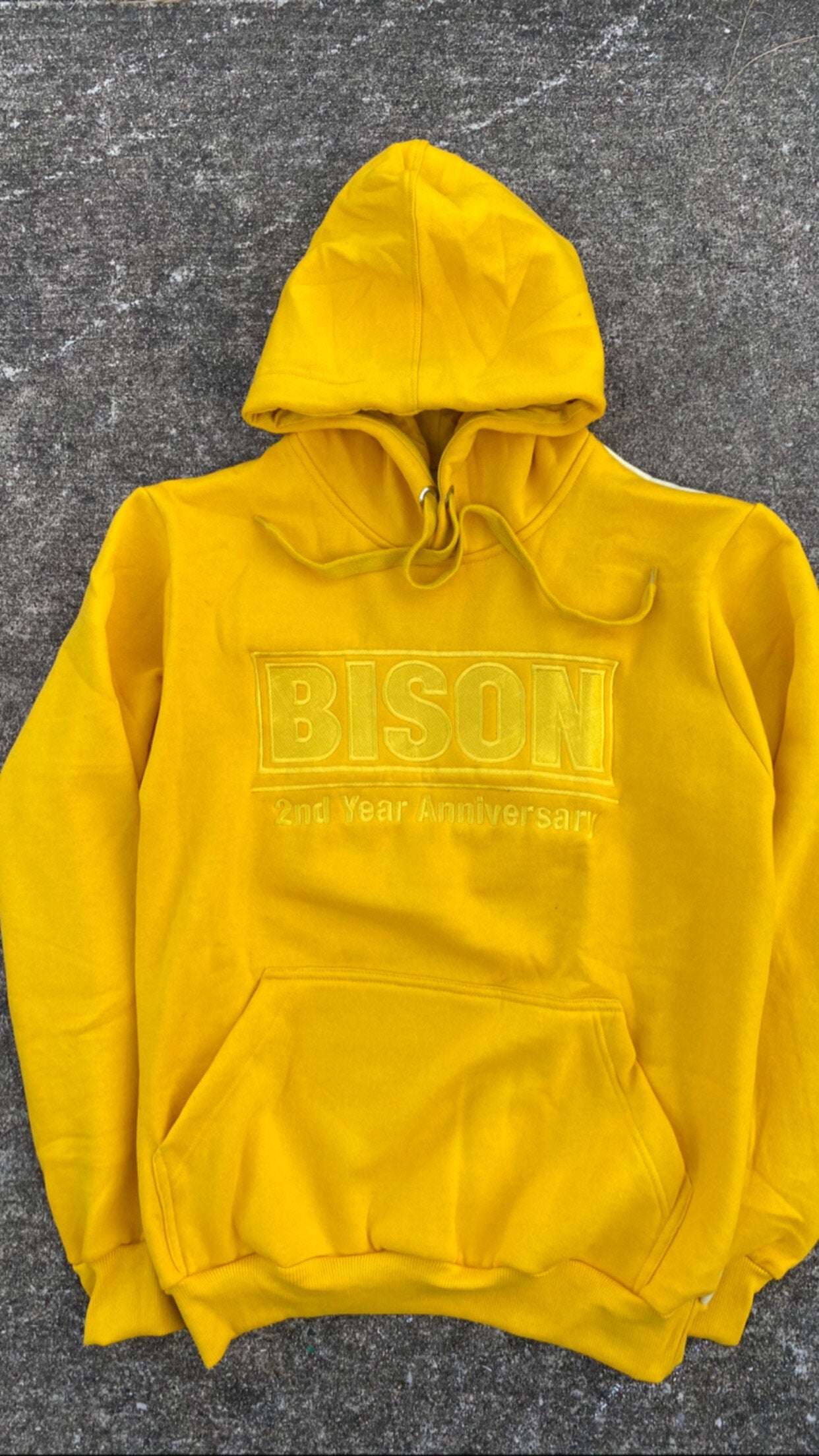 BISON 2 Year Anniversary Hoodie