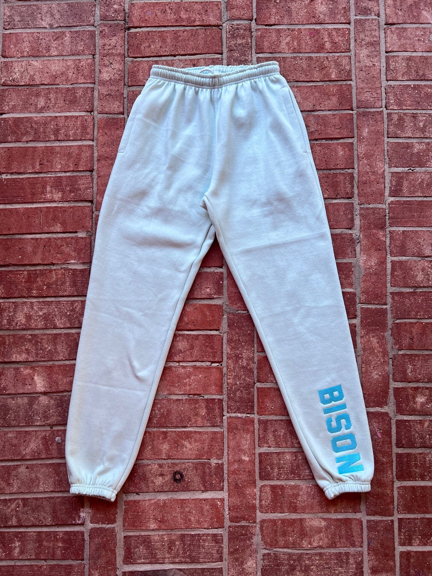 BISON Engineered Mint Sweatpants