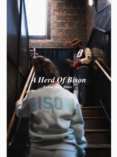 A Herd Of Bison Coffee Shop Blues
