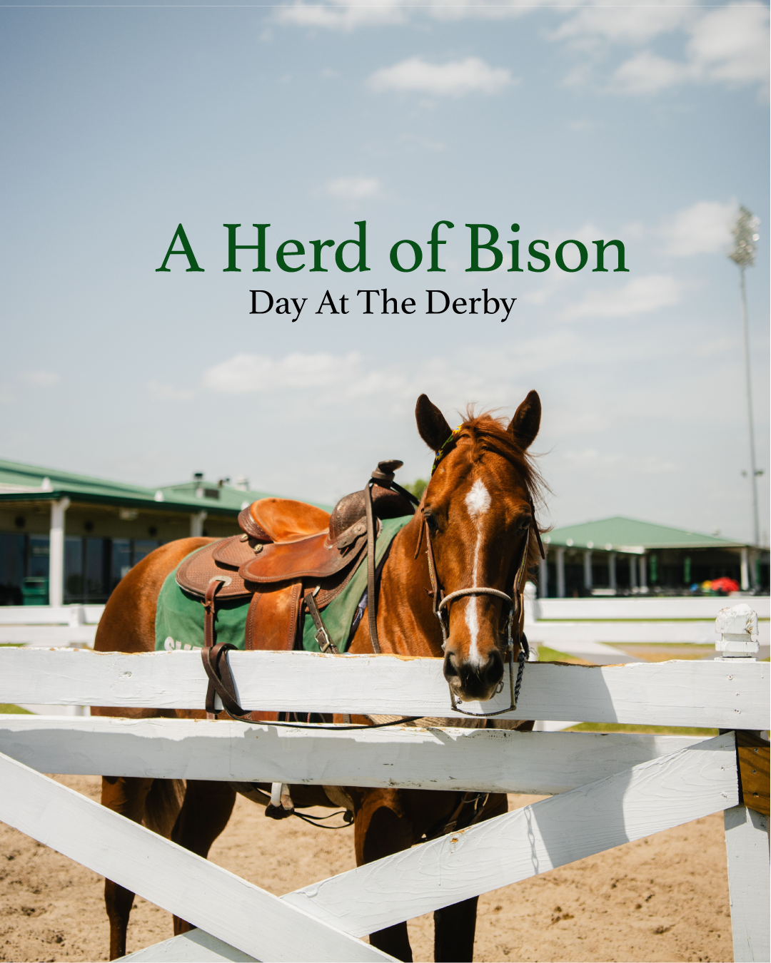 A Day At The Derby | A Herd of Bison - BISON Equestrian Denim Workmen Jacket