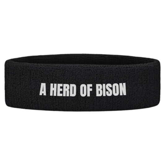 AHB Headband