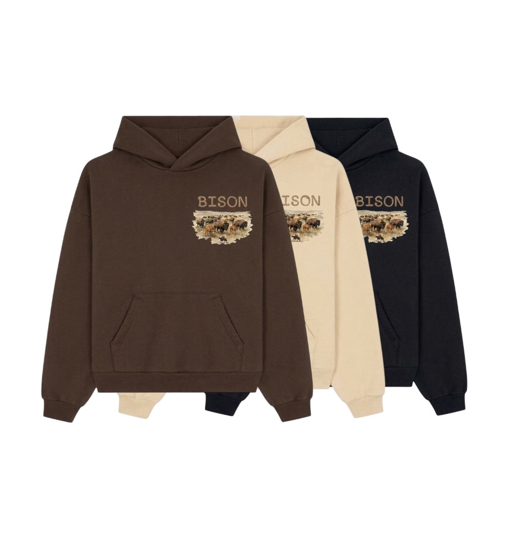 BISON Road to the Rodeo Hoodie