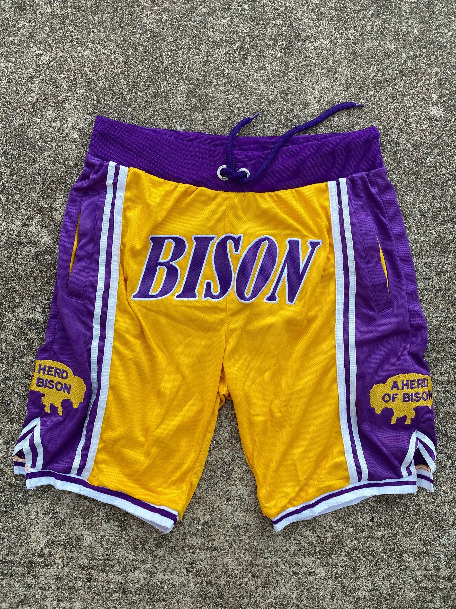 Bison Unity BISON Unity Trunks – A Herd of Bison
