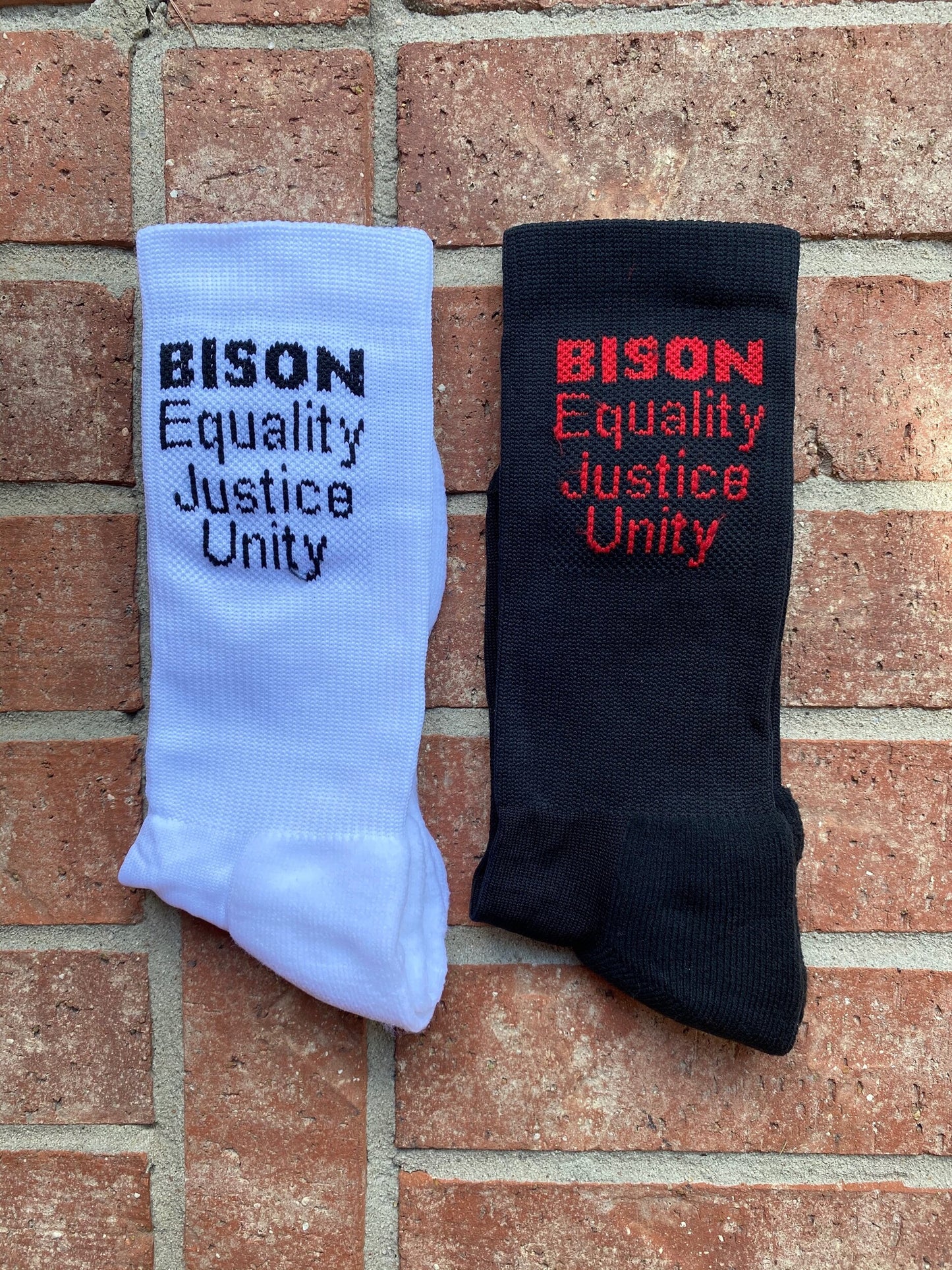 BISON Equality, Unity, Justice Socks