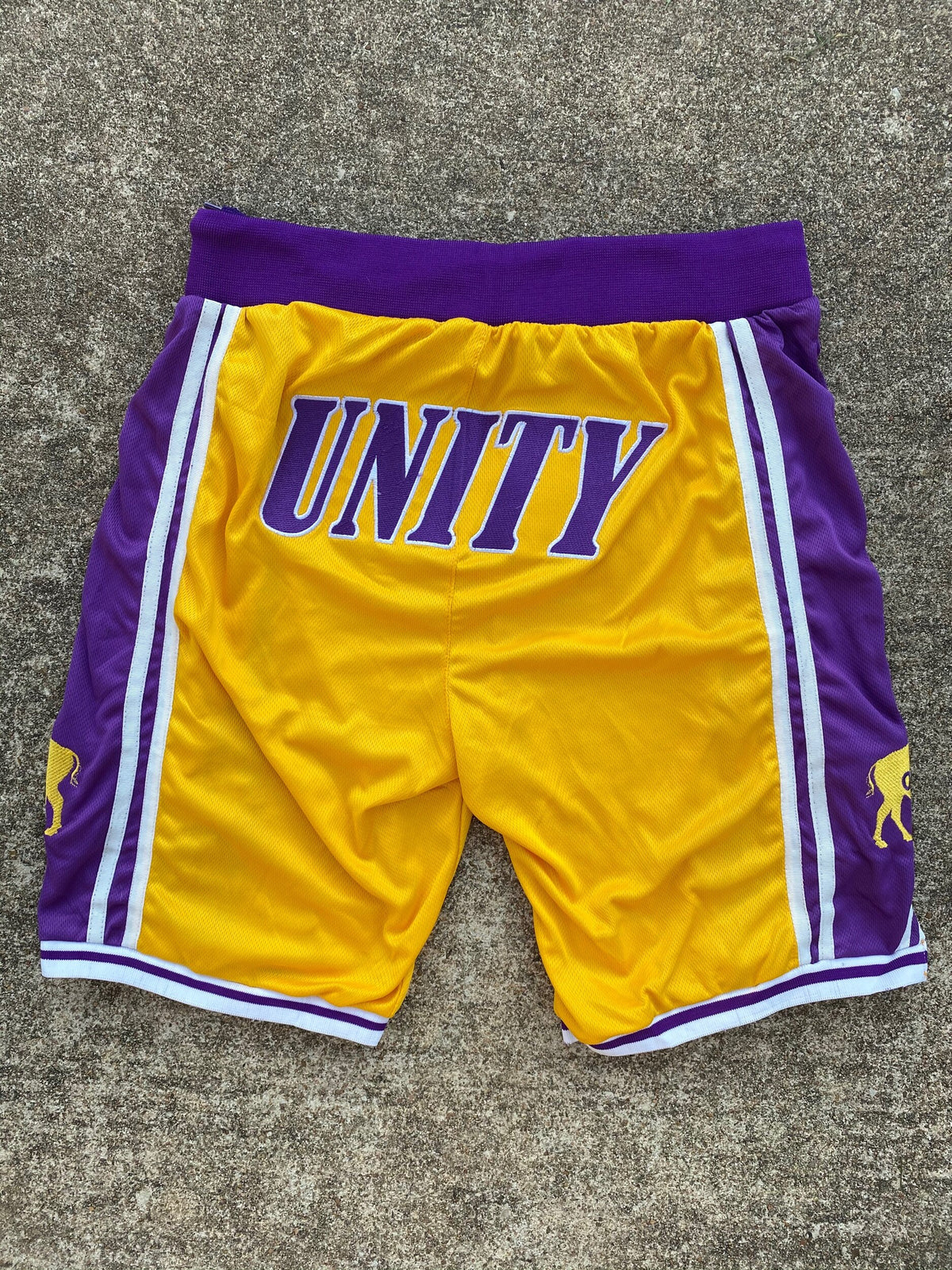 Bison Unity BISON Unity Trunks – A Herd of Bison