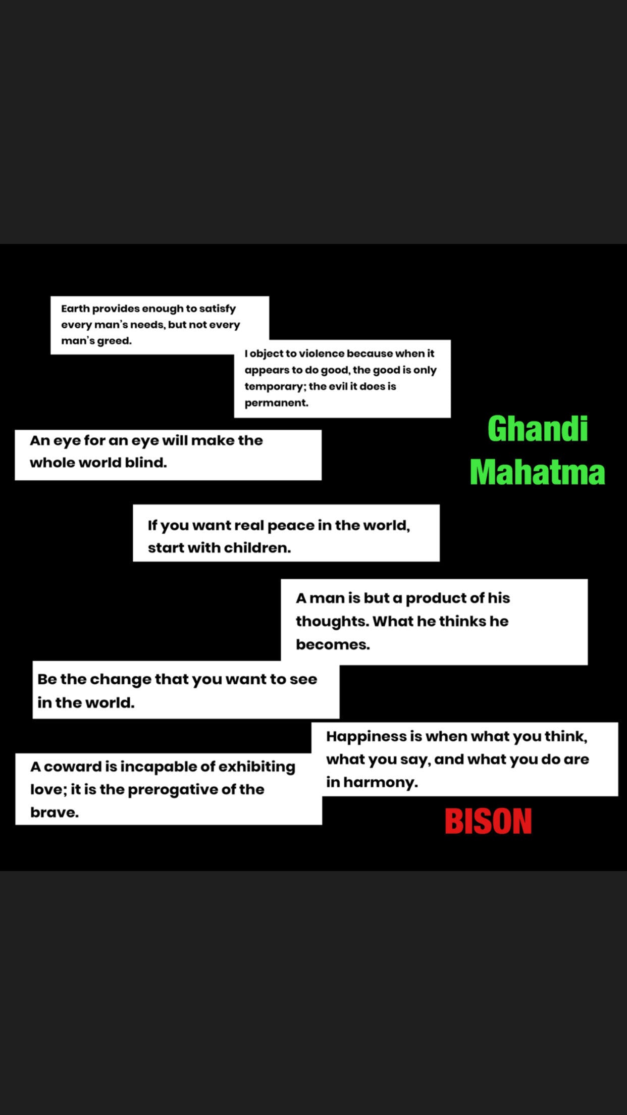 BISON Ghandi Glow Hoodie