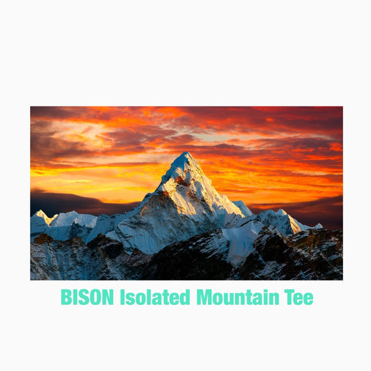 Isolated Mountain Tee